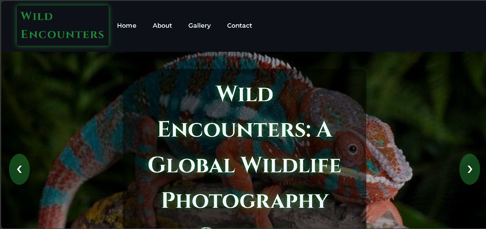Wild Encounters Image Gallery Project
